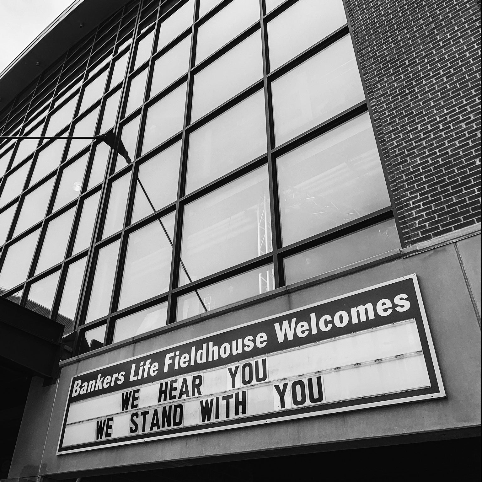 blf-blm-marquee-1x1.jpg